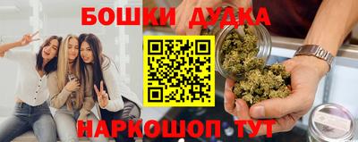 сатива Лесосибирск