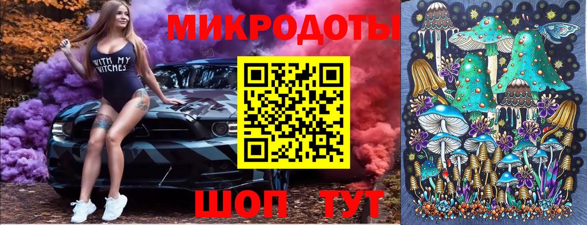 Псилоцибиновые грибы Psilocybe  Вход с VPN  Гулькевичи  Псилоцибиновые грибы мицелий 